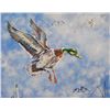 Image 1 : Simon Michael "Mallard" Oil On Canvas