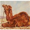 Image 3 : Simon Michael "Resting Camel" Oil On Canvas