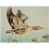 Image 1 : Simon Michael "Flying Goose" Oil On Canvas