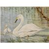 Image 1 : Simon Michael "Mother Swan & Baby" Oil On Canvas