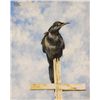 Image 1 : Simon Michael "A Raven On A Church Cross"