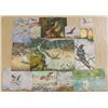 Image 1 : Collection Of 15 Simon Michael Paintings
