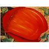 Image 1 : Zona Gayle "Melon Colored Madness"