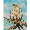 Image 1 : Simon Michael "Swallow-Tailed Kite" Painting