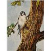Image 2 : Simon Michael "Tree Swallow"