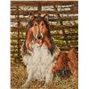 Image 1 : Simon Michael "Collie" Oil On Canvas
