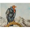 Image 1 : Simon Michael "California Condor" Oil On Canvas