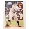 Image 1 : 1994 TED WILLIAMS THE 500 CLUB BABE RUTH BASEBALL CARD