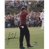 Image 1 : Tiger Woods