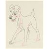 Image 3 : Tramp and Jock the Scotty Dog matching set of (2) production drawings from Lady and the Tramp