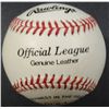Image 3 : MATT WILLIAMS AUTOGRAPHED BASEBALL / HIDDEN AUTH. COA
