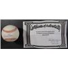 Image 2 : SEAN HEHMS AUTOGRAPHED BASEBALL / OUTFIELD SPORTS COA