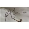 Image 3 : 7 AUTOGRAPHED 8x10's - 5 Chris Evans, JACK BLACK  &