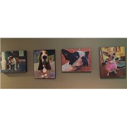 St. Jude Lot; Dog Artwork