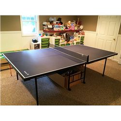 Ping Pong Table