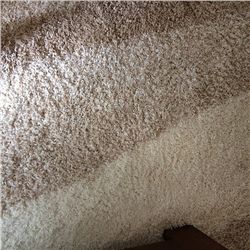 Art Modern Style Rug