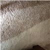 Image 1 : Art Modern Style Rug