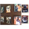 Image 1 : St. Jude Lot; Dog Artwork