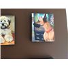 Image 6 : St. Jude Lot; Dog Artwork