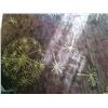 Image 2 : Art Modern Style Rug