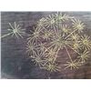 Image 4 : Art Modern Style Rug
