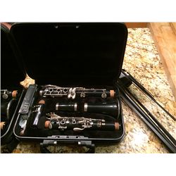 Clarinet in Case