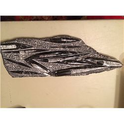 Alaskan Fossil