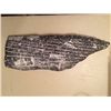 Image 4 : Alaskan Fossil