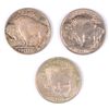 Image 2 : (3) 1913 II BUFFALO NICKELS SUPER SLIDERS