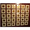 Image 1 : 213. Plastic Stock page containing (30) Lincoln Cents in 1 1/2" x 1 1/2" holders. Includes Proofs & 