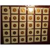 Image 2 : 213. Plastic Stock page containing (30) Lincoln Cents in 1 1/2" x 1 1/2" holders. Includes Proofs & 