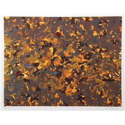 Domenick Turturro, Fire, Serigraph