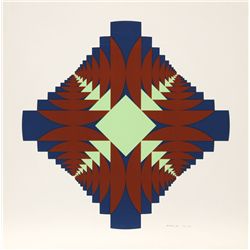 Ronald Abram, Infinitesimale Constantes 8, Silkscreen