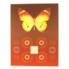 Image 1 : David Haidle, Butterfly Matrix, Serigraph