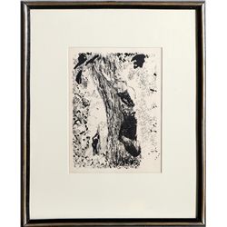 Pierre Bonnard, Resting Spot, Lithograph