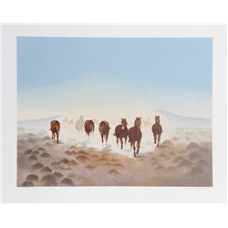 Gwendolyn Branstetter, Dust In The Desert, Lithograph