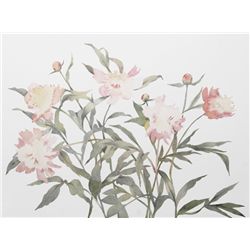 Susan Headley van Campen, Peonies, Lithograph