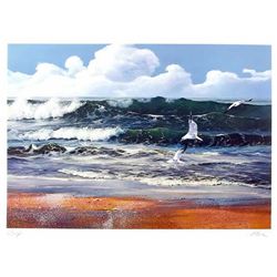 Uwe Werner, After the storm, Lithograph