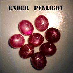 LOT OF 17.18 CTS OF 6 RAY PINK MADAGASCAR STAR RUBIES