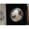 Image 1 : 2004-W PROOF AMERICAN SILVER EAGLE