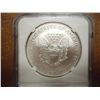 Image 2 : 2000 AMERICAN SILVER EAGLE MILLENNIUM SET