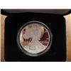 Image 1 : 2012-W PROOF AMERICAN SILVER EAGLE