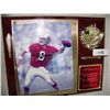 Image 1 : STEVE YOUNG HAND SIGNED SAN FRANCISCO 49ERS PLAQUE