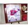 Image 2 : STEVE YOUNG HAND SIGNED SAN FRANCISCO 49ERS PLAQUE