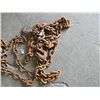 Image 1 : LARGE CHAIN WITH 2 HOOKS