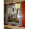 Image 1 : FRAMED PRINT "SHROUDED FOREST - DANIEL SMITH - GALLERY APPROX.$500