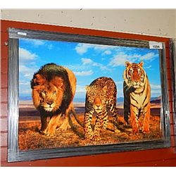 FRAMED PRINT ON BOARD "WILD CATS