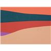 Image 2 : Doug Danz Signed Desert Landscape Proof Print Strata B