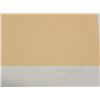 Image 3 : Doug Danz Signed Desert Landscape Proof Print Strata B