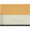 Image 3 : Doug Danz Signed Landscape Proof Print Elevation III